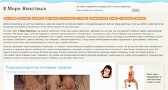 Desktop Screenshot of chihuashki.ru